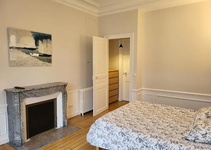 Center Of Reims - Large Refurbished Historic Flat