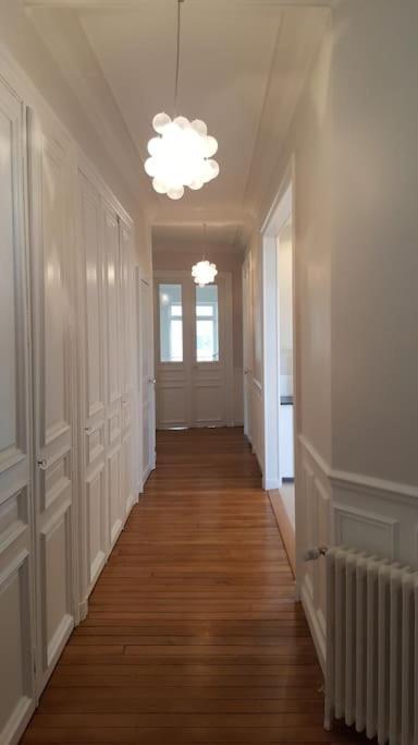 Apartment Center Of - Large Refurbished Historic Flat