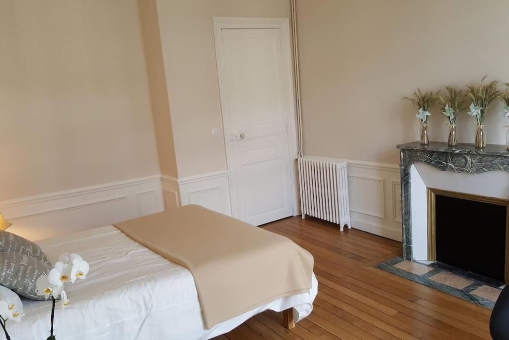 Apartment Center Of - Large Refurbished Historic Flat Reims