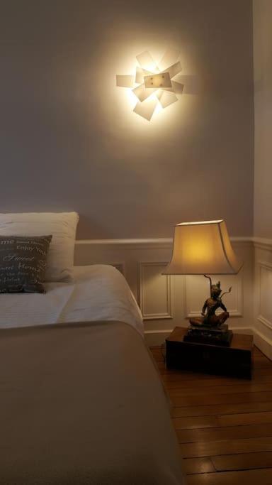 Center Of - Large Refurbished Historic Flat Reims